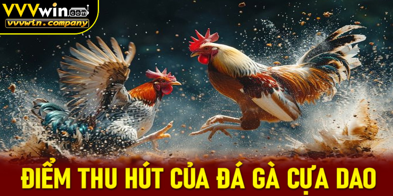 Những điểm thu hút của thể loại đá gà cựa dao