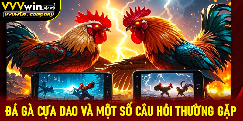 Đá gà cựa dao và một số câu hỏi thường gặp